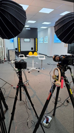 西朗门业采访现场 西朗门业采访现场